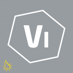VIOSO Integrate 2-fach Lizenz
